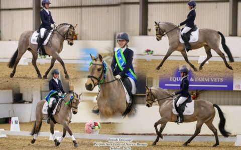 British Dressage Area Festival