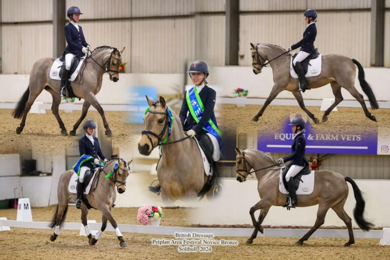 British Dressage Area Festival Lady Manners School
