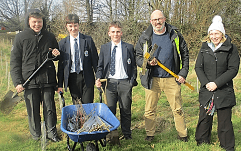 Tree Planting