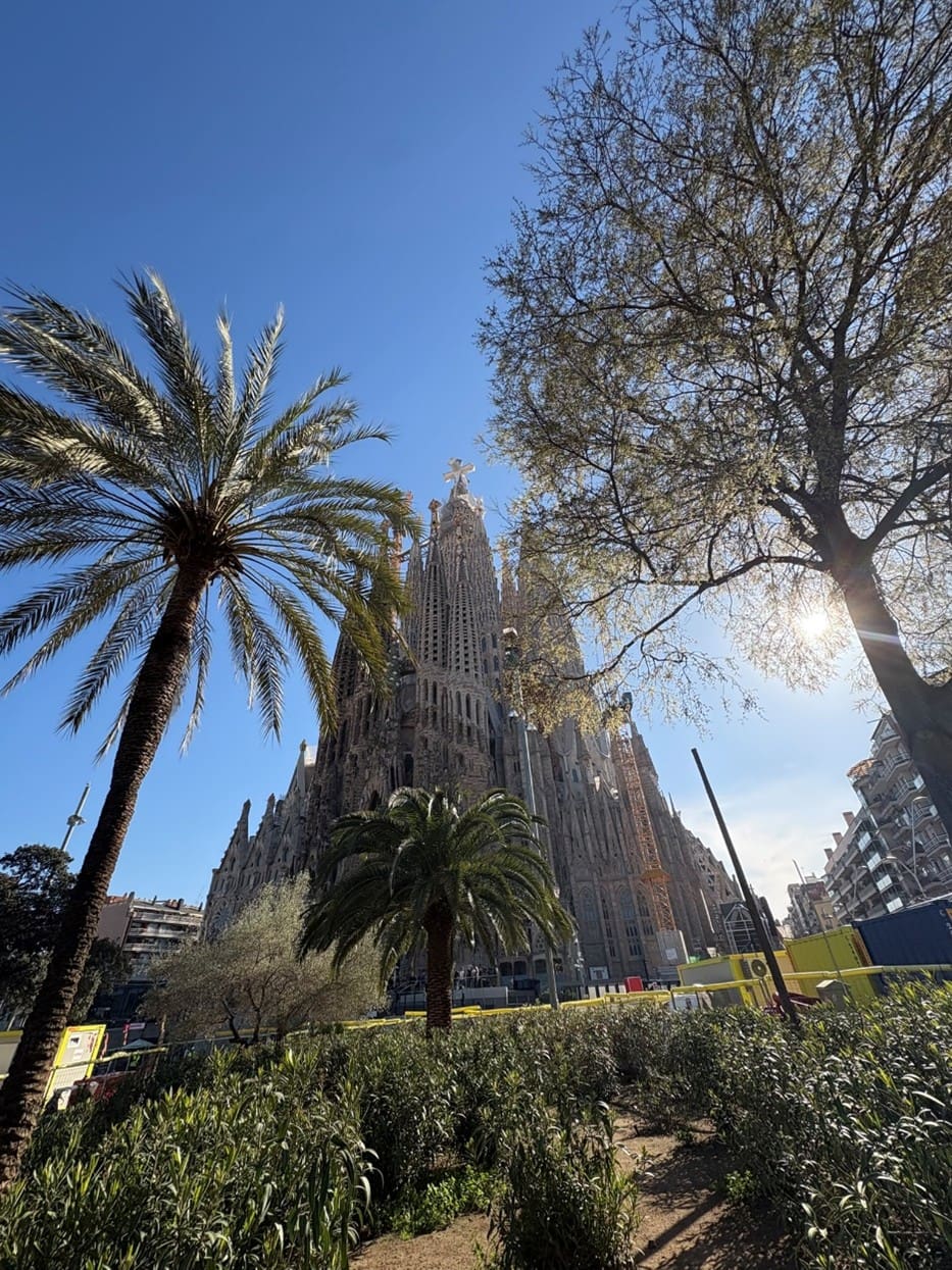 260326 Y10 Spain Trip 2
